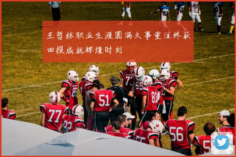 王哲林职业生涯圆满久事重注终获回报成就辉煌时刻