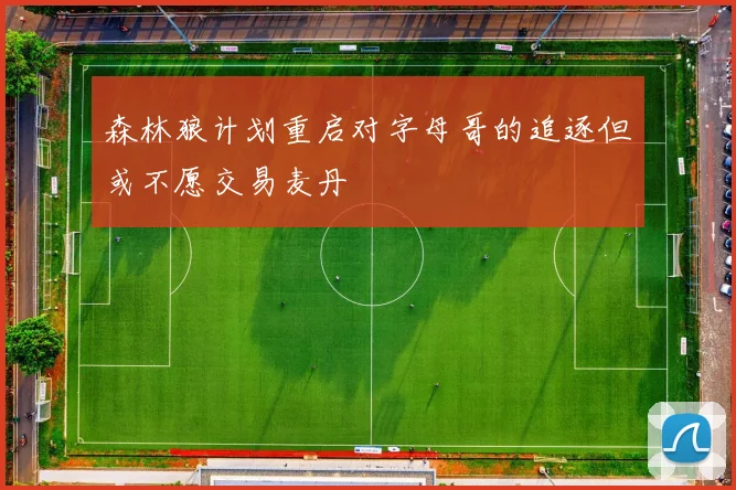 森林狼计划重启对字母哥的追逐但或不愿交易麦丹