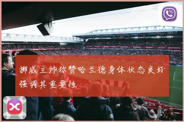 挪威主帅称赞哈兰德身体状态良好强调其重要性